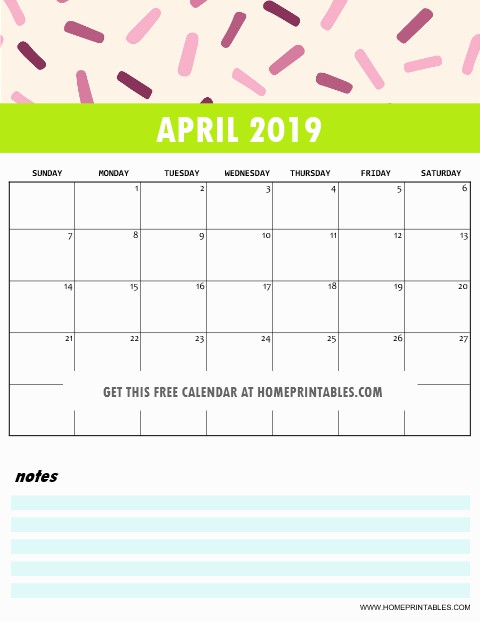 free 2019 monthly calendar printable cute and colorful