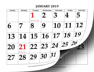 Printable 2019 Calendar with Print