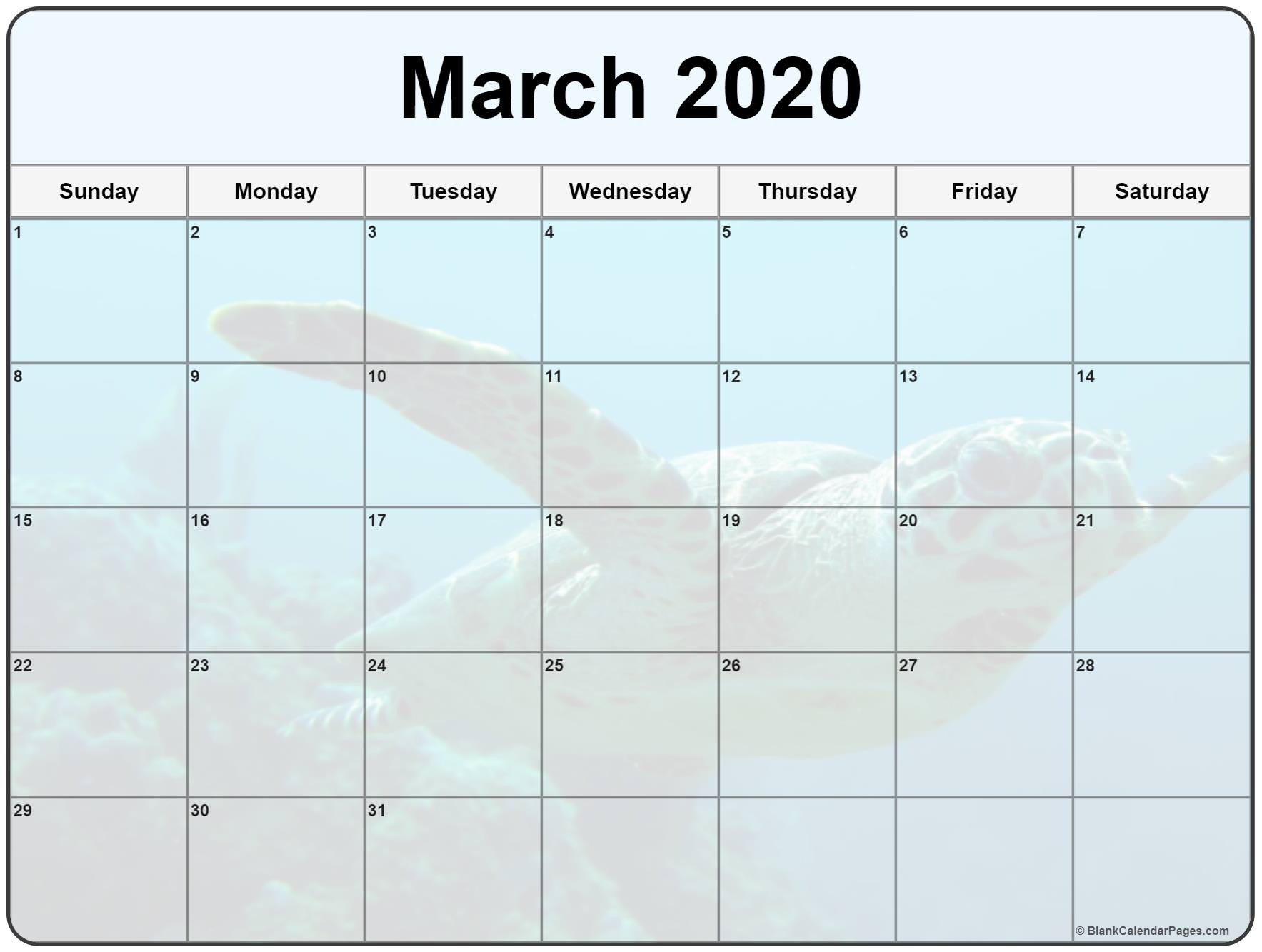 collection of march 2020 photo calendars with image filters