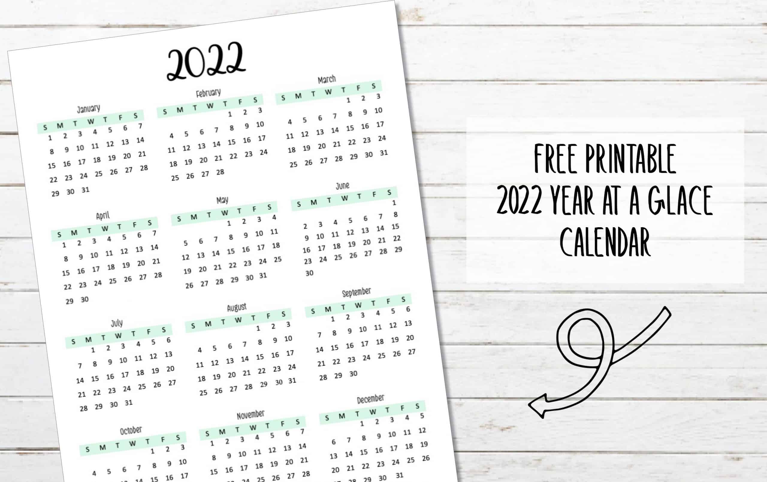 Year At A Glance Calendar 2022 Printable