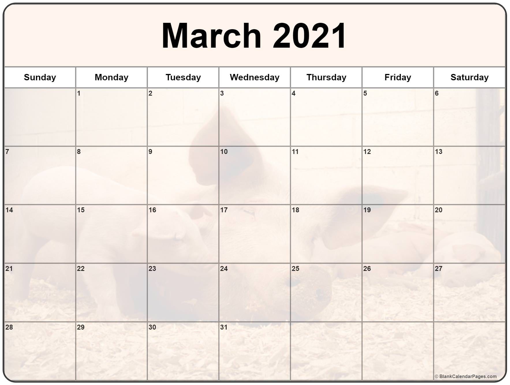 collection of march 2021 photo calendars with image filters